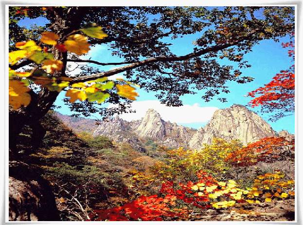 ����ũ��� ����