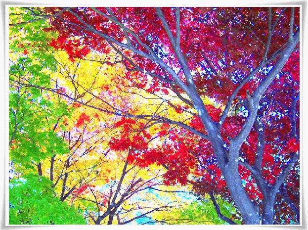 ����ũ��� ����