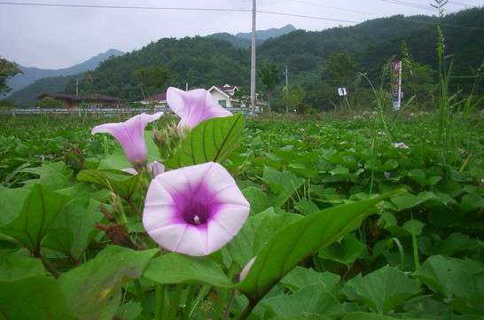 ����ũ��� ����