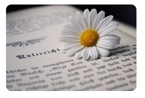 ����ũ��� ����