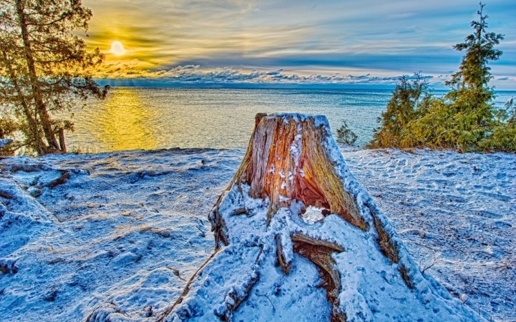 ����ũ��� ����