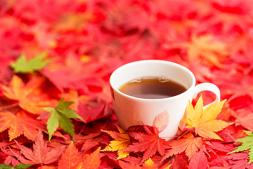 ����ũ��� ����