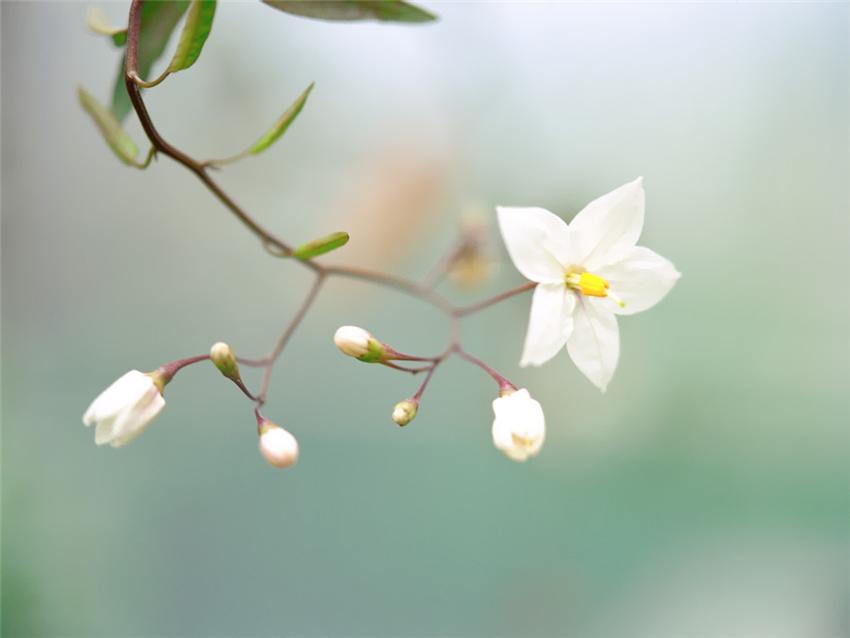 ����ũ��� ����