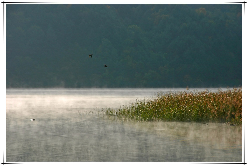 ����ũ��� ����