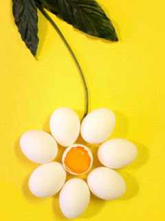 ����ũ��� ����