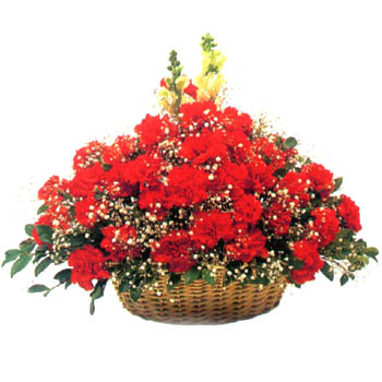 ����ũ��� ����