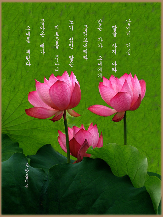 ����ũ��� ����