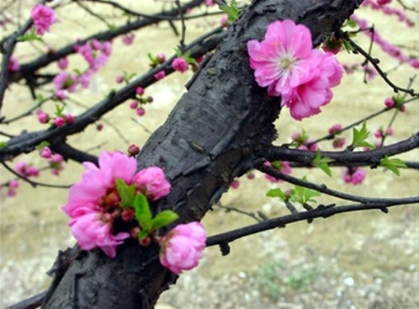 ����ũ��� ����