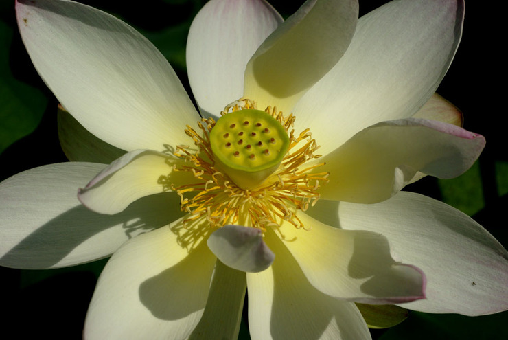 ����ũ��� ����