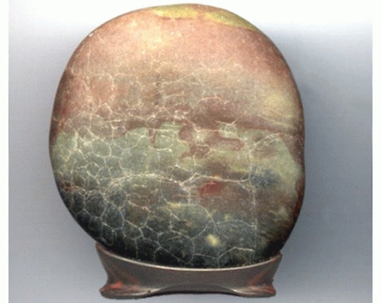 ����ũ��� ����