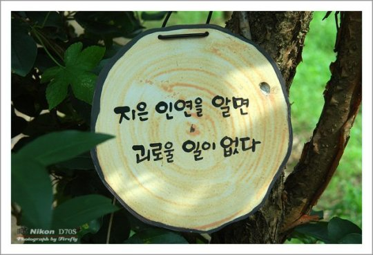 ����ũ��� ����