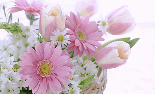 ����ũ��� ����