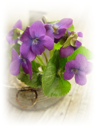 ����ũ��� ����