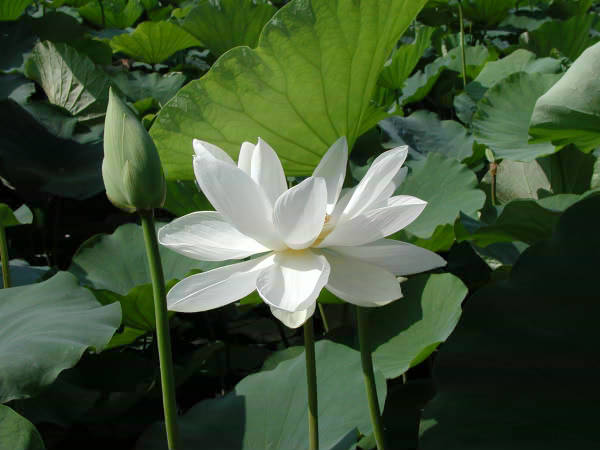 ����ũ��� ����