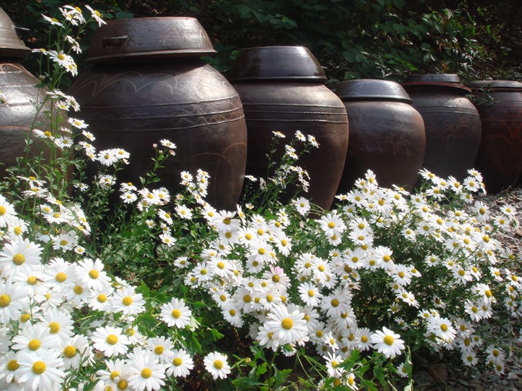 ����ũ��� ����