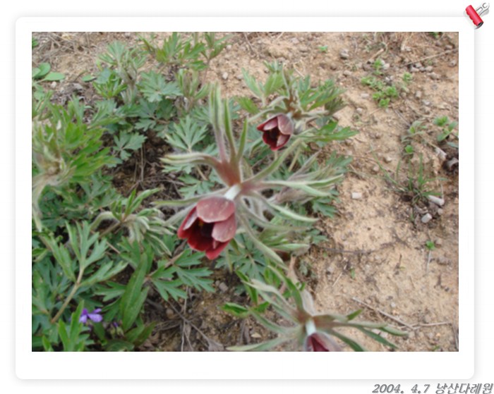 ����ũ��� ����