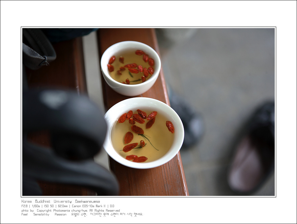 ����ũ��� ����