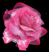 ����ũ��� ����