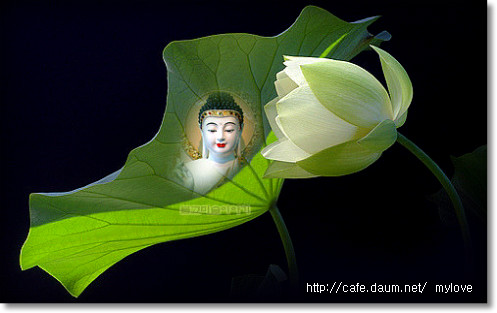 ����ũ��� ����