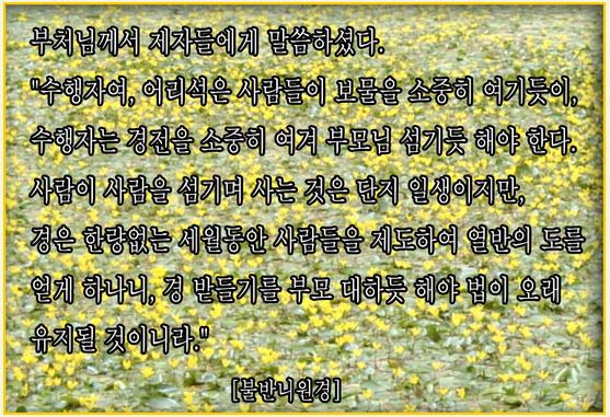 ����ũ��� ����