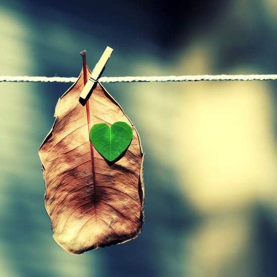 ����ũ��� ����