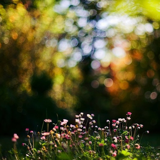 ����ũ��� ����