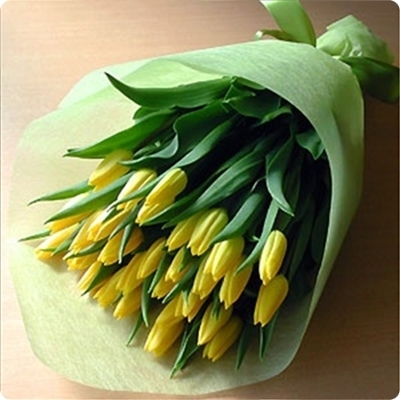 ����ũ��� ����