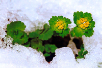 ����ũ��� ����