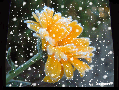 ����ũ��� ����