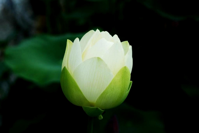 ����ũ��� ����