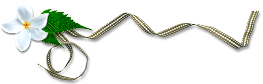 ����ũ��� ����