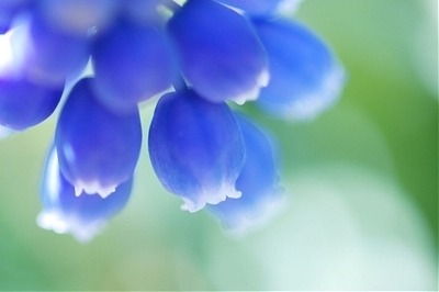 ����ũ��� ����