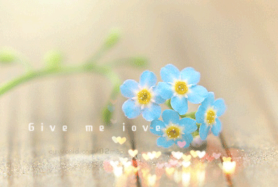 ����ũ��� ����