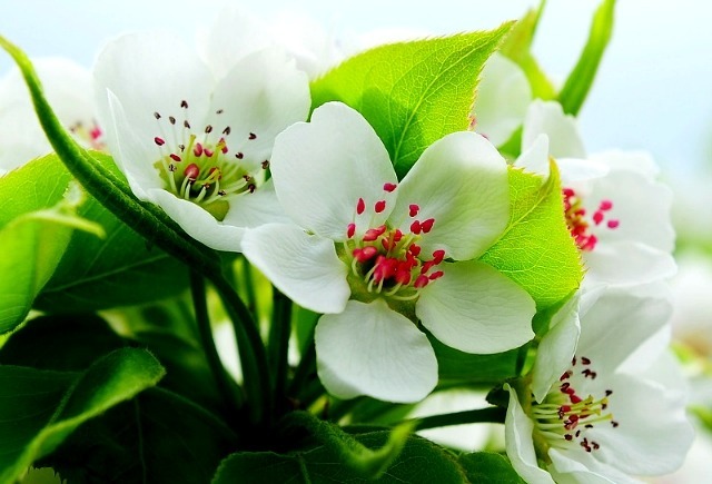 ����ũ��� ����