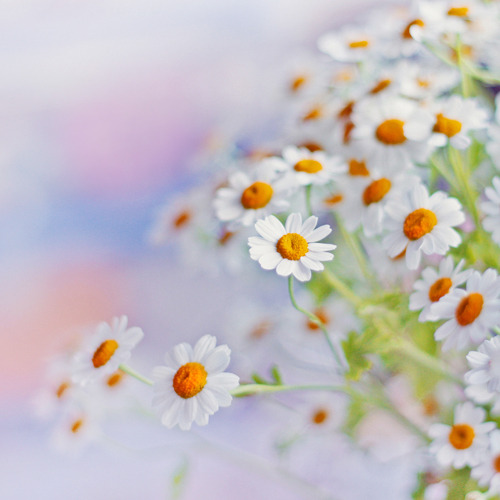 ����ũ��� ����