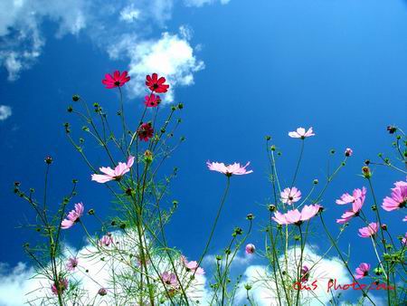 ����ũ��� ����