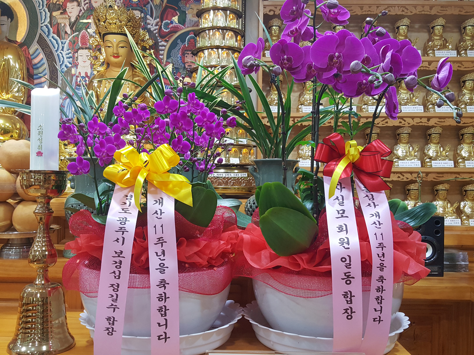 ����ũ��� ����