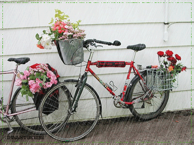 ����ũ��� ����