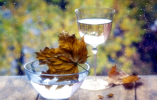 ����ũ��� ����