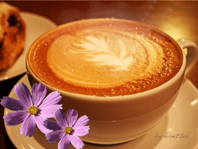 ����ũ��� ����