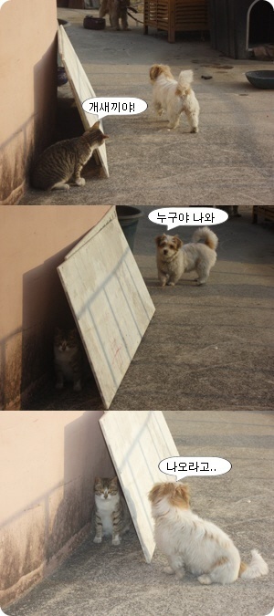 ����ũ��� ����