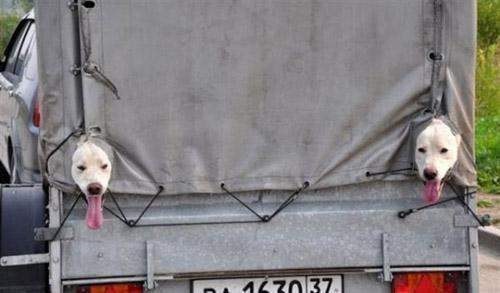 ����ũ��� ����