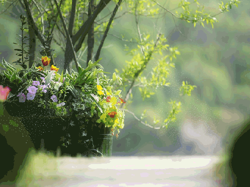 ����ũ��� ����