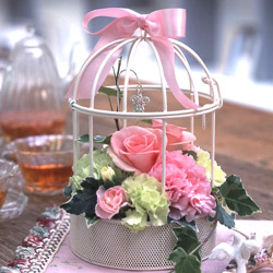 ����ũ��� ����