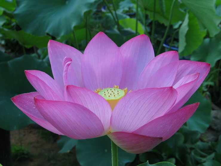 ����ũ��� ����