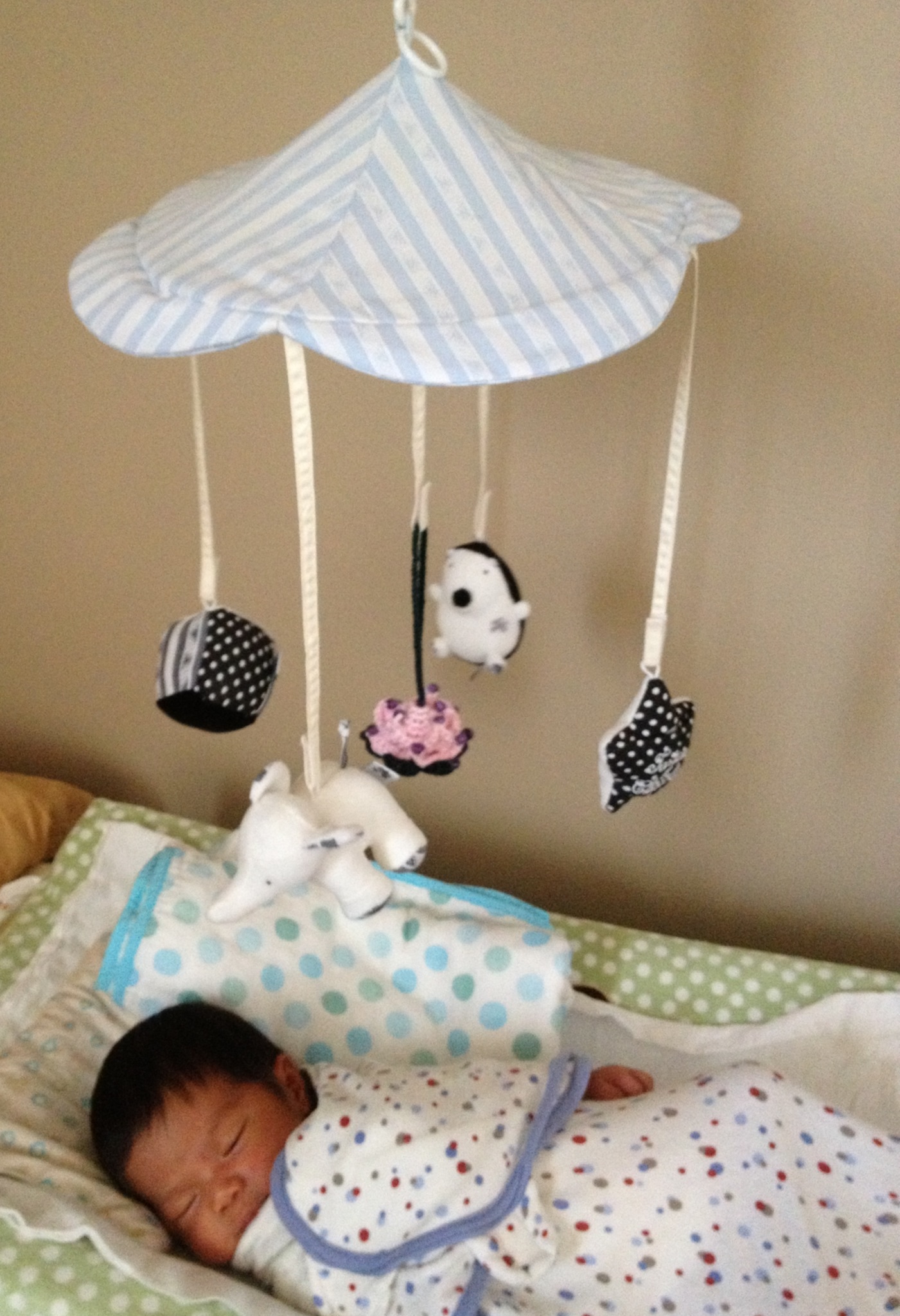 ����ũ��� ����