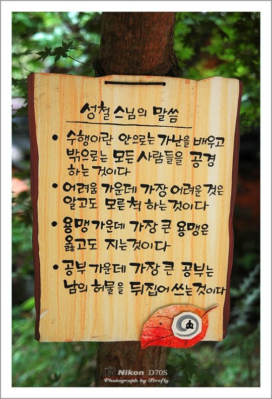 ����ũ��� ����