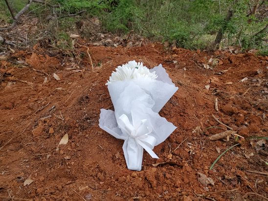 ����ũ��� ����