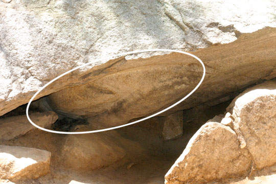 ����ũ��� ����