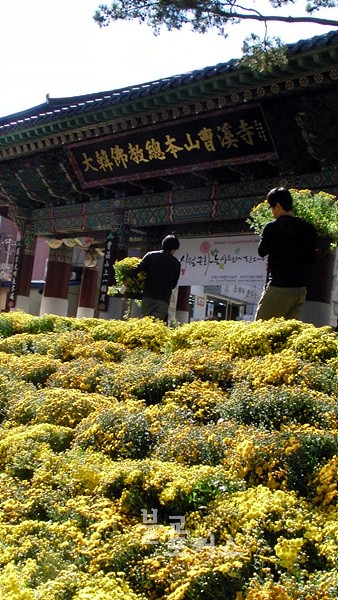 ����ũ��� ����